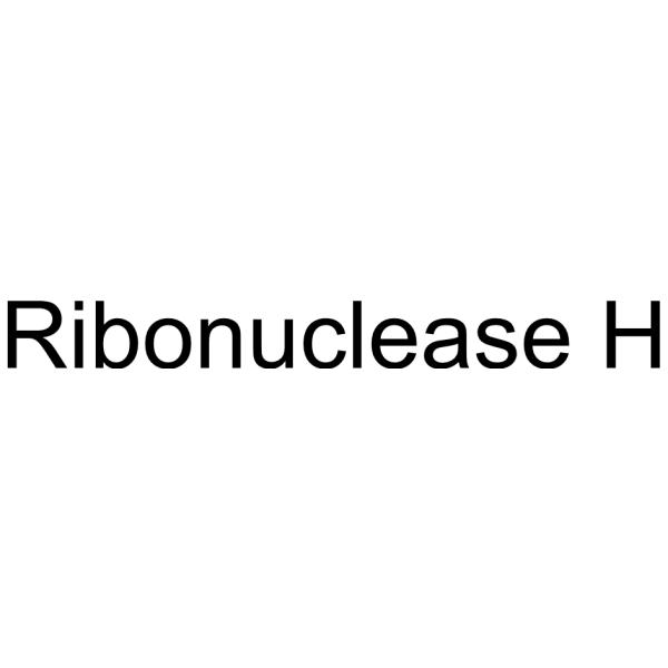 Ribonuclease H (RNase H) 9050-76-4